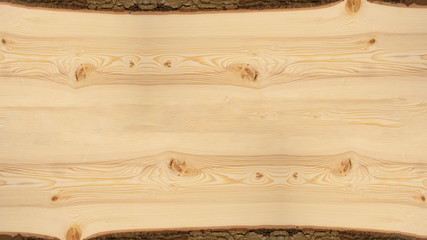 Wood background - Spruce / fir wooden board template, with tree edge and bark and space for text