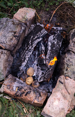 Baking potatoes in coals from the fire, cooking on a hike