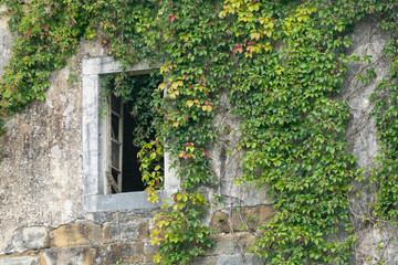 Fototapeta na wymiar Gradisca d'Isonzo, Veneto