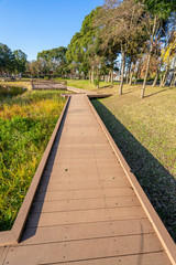 秋のみさと公園