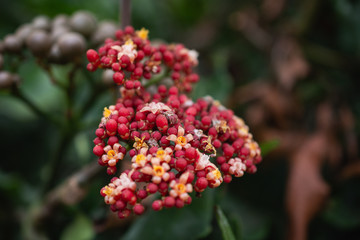 University campus enjoying the nature