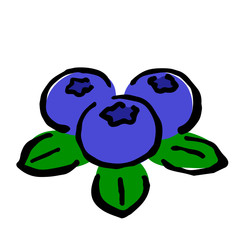Illustration of Blueberry: Illustration like hand drawn illustration with ink and brush