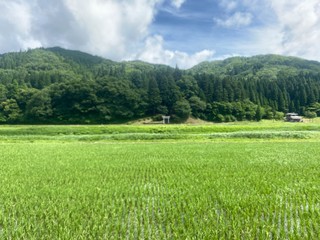 Obraz premium 山と田んぼと空 夏の田舎の風景
