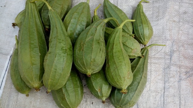 the vegetable of plants are selling in the market outside