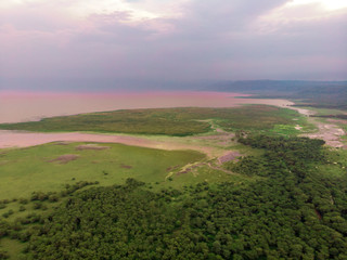 Fototapeta na wymiar Aerial Drone view of Lake Manyara National Park with Pink Lake and Lush Primal Rain Forest in a Cloudy Weather
