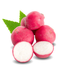 radish isolated on white background