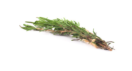 Rosemary isolated on white background