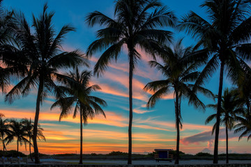 Fototapeta na wymiar South beach with palm trees silhouette at spectacular pink sunrise in Miami Beach, Florida. 
