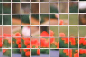 mosaic outdoor tile in a garden 