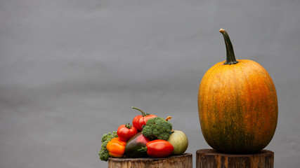 Bright colorful vegetables on a grey concrete background. Fresh organic vegetables (broccoli, tomatoes, peppers and pumpkin) from the garden on a wooden stumps. Autumn concept, harvest, healthy food.