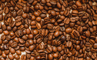 Coffee bean background. Dark-colored roasted coffee beans.