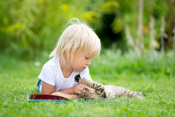 Cute blond toddler child, sweet boy, playing in garden with little kitten, reading book summertime