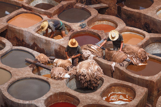 Unknown wokers in the tannery in Fez, Morocco. The tanning industry in the city is considered one of the main tourist attractions. The tanneries are packed with the round stone wells filled with dye.