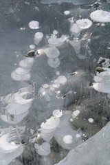 Frozen bubbles in lake ice, Antarctica
