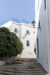Fototapeta premium View in Sidi Bou Said ,Tunisia, North Africa