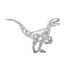 Prehistoric Dinosaur Doodle Vector Illustration. Hand Drawn Velociraptor Reptile Engraving Style Drawing.
