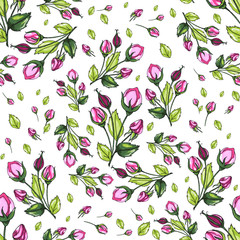 Delicate seamless pattern of pink roses