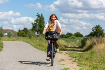 Fototapeta premium Woman drives a bicycle with a dog for a walk