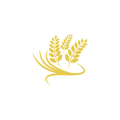 agriculture wheat logo template design with isolated background