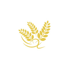 agriculture wheat logo template design with isolated background