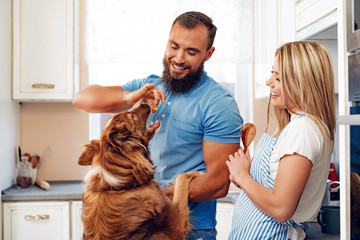 Happy couple cooking food at kitchen with their dog