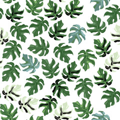 Naklejka na ściany i meble Random isolated seamless monstera leaf pattern. Little green botanic ornament on white background.