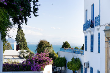 View in Sidi Bou Said ,Tunisia, North Africa