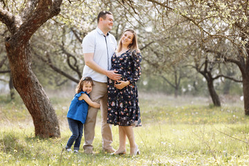 Naklejka na ściany i meble pregnant mother, father hold hands daughter enjoy nature and walk in spring blooming park. Young family spending time together on vacation, outdoors. The concept of family holiday.
