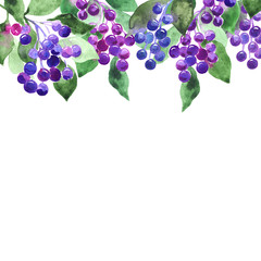 Fototapeta na wymiar watercolor floral template for text greeting or information, blue berries twigs frame, vine hanging from above framing space for text
