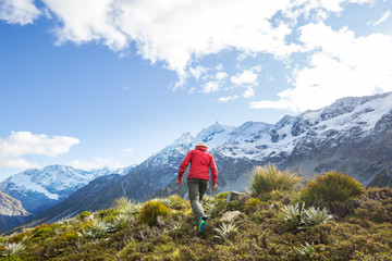 Naklejka premium Hike in New Zealand mountains