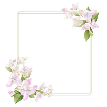 A light pink bougainvillaea frame  with green linear elements hand painted in watercolor isolated on a white background. Watercolor floral frame. Watercolor bougainvillea frame.