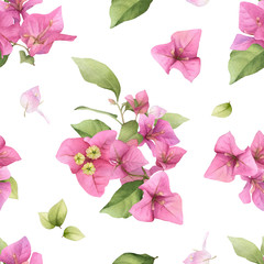 A floral seamless pattern of the pink bougainvillea and green leaves hand drawn in watercolor isolated on a white background. Watercolor floral seamless pattern. Bougainvillaea pattern