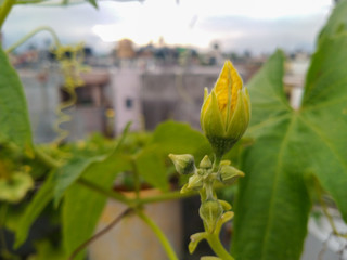 View of divine sky in the day light