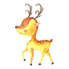 Fototapeta na wymiar Watercolor small deer with horns and spots. Cute cartoon animal is coming.Isolated image on a white background.