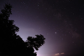 Many different constellations. Starry sky over the sea, the milky way and the lights of the night city. Light in the sky of a beautiful pink color, the galaxy space and the universe.