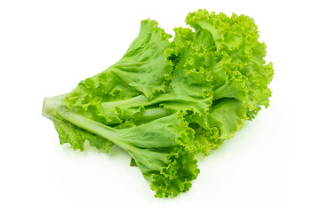 Fresh green Lettuce leaves, Salad leaf isolated on white background. 