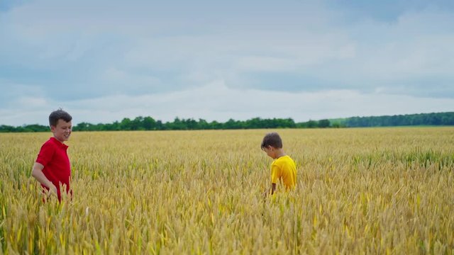 Boy throws starw hat on brother`s head. Kid is trying to catch hat. Video in a field. Gold wheat and blue sky. Motion video. Brothers playing.