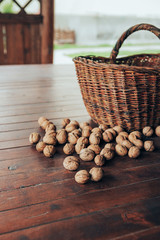 Walnuts on the table near the basket. Whole walnuts scattered on an old wooden table in a gazebo...