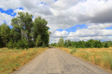Fototapeta premium empty countryside road in forest