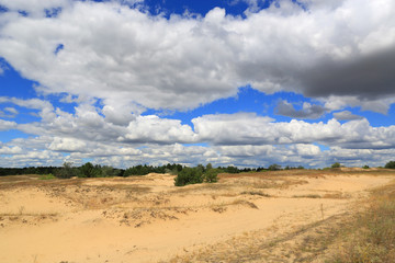 Fototapeta na wymiar sand dunes uner nice sky