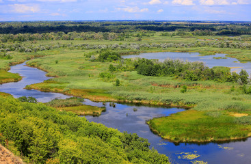 nice view on delta river in summer day