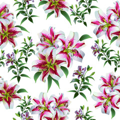 Seamless pattern from white Olympic lilies. White background.