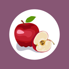 Vector illustration a whole red apple, half an apple slice. Design for menu in a restaurant and cafe, recipe, card, poster, fabric, clothing print