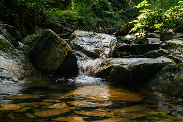 small waterfall in the forest