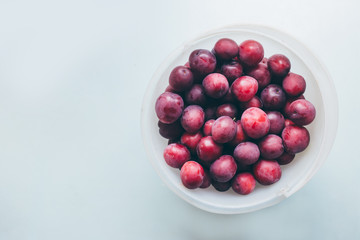 red plums lie in a white bucket on a gray background. fruits on a light background, top view, left
