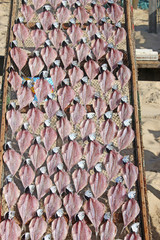 Drying Fish on Nazare Beach, Portugal	