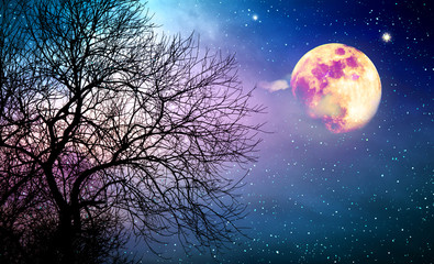 Silhouet van boom en volle maan op kleurrijke nachtelijke hemel.