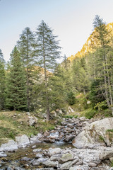 Paysage de montagne dans les Alpes
