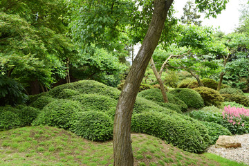 blooming green botanical park in Prague
