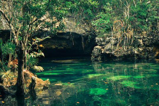 A Day At The Cenote